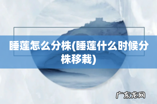 睡莲什么时候分株移栽 睡莲怎么分株