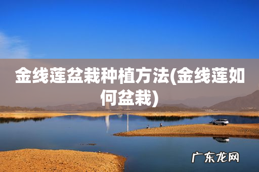 金线莲如何盆栽 金线莲盆栽种植方法
