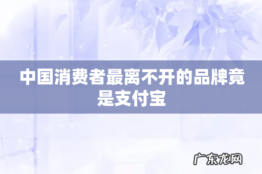 中国消费者最离不开的品牌竟是支付宝