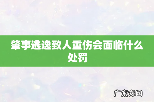 肇事逃逸致人重伤会面临什么处罚