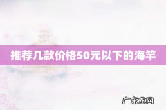 推荐几款价格50元以下的海竿