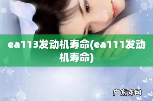 ea111发动机寿命 ea113发动机寿命