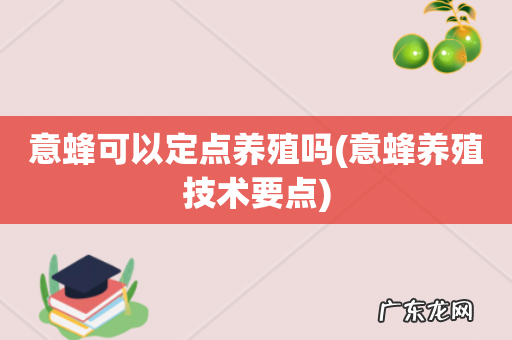 意蜂养殖技术要点 意蜂可以定点养殖吗