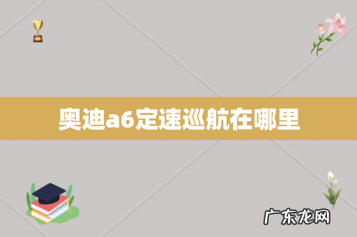 奥迪a6定速巡航在哪里