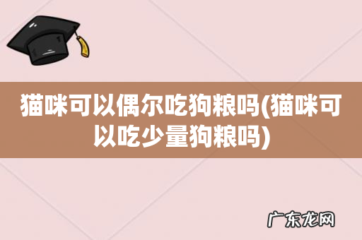 猫咪可以吃少量狗粮吗 猫咪可以偶尔吃狗粮吗