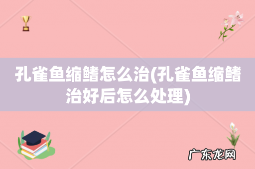 孔雀鱼缩鳍治好后怎么处理 孔雀鱼缩鳍怎么治