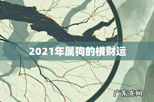2021年属狗的横财运