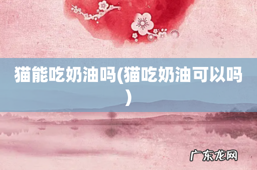 猫吃奶油可以吗 猫能吃奶油吗