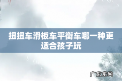 扭扭车滑板车平衡车哪一种更适合孩子玩