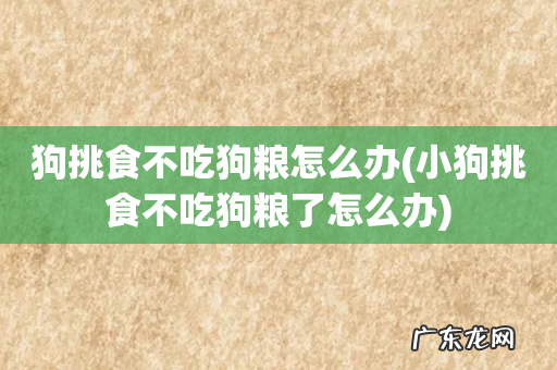 小狗挑食不吃狗粮了怎么办 狗挑食不吃狗粮怎么办