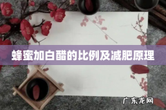 蜂蜜加白醋的比例及减肥原理