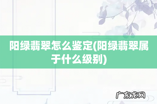 阳绿翡翠属于什么级别 阳绿翡翠怎么鉴定