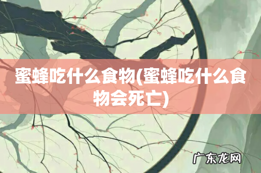 蜜蜂吃什么食物会死亡 蜜蜂吃什么食物