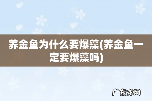 养金鱼一定要爆藻吗 养金鱼为什么要爆藻