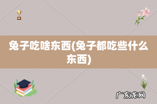兔子都吃些什么东西 兔子吃啥东西