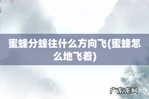 蜜蜂怎么地飞着 蜜蜂分蜂往什么方向飞