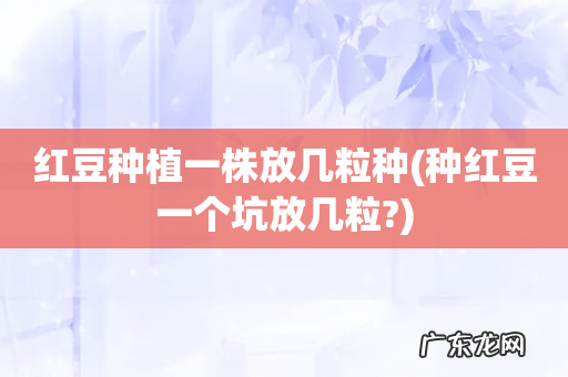 种红豆一个坑放几粒? 红豆种植一株放几粒种