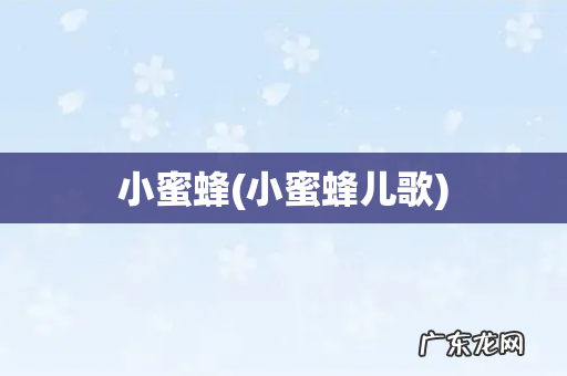 小蜜蜂儿歌 小蜜蜂