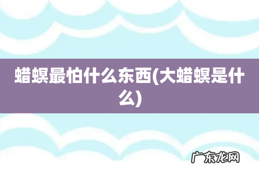 大蜡螟是什么 蜡螟最怕什么东西