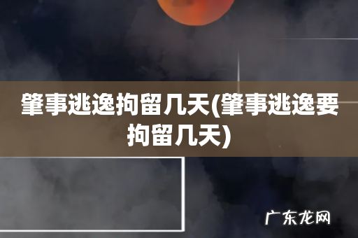 肇事逃逸要拘留几天 肇事逃逸拘留几天