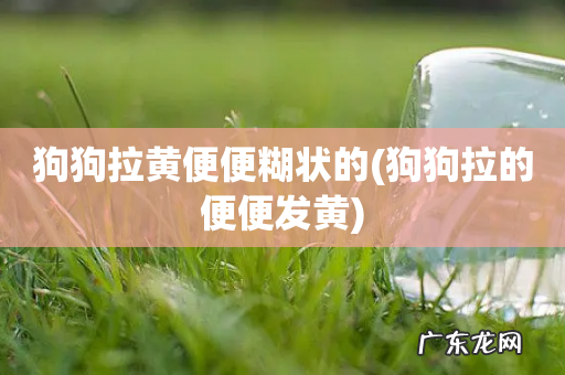 狗狗拉的便便发黄 狗狗拉黄便便糊状的