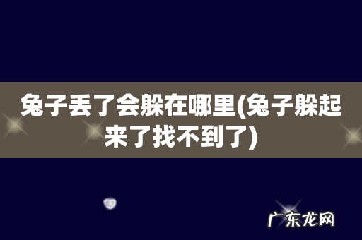 兔子躲起来了找不到了 兔子丢了会躲在哪里