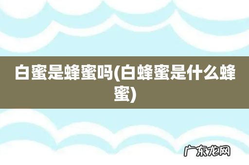 白蜂蜜是什么蜂蜜 白蜜是蜂蜜吗