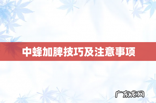 中蜂加脾技巧及注意事项