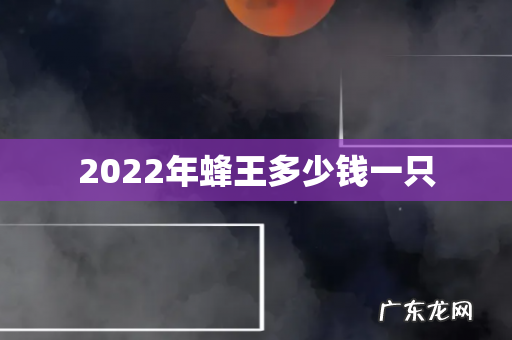 2022年蜂王多少钱一只