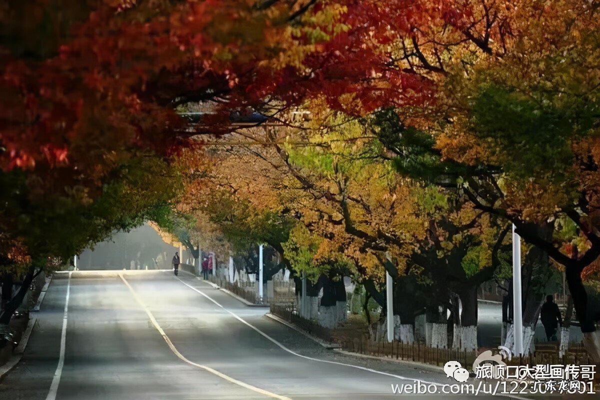 旅顺太阳沟乐椿轩 旅顺太阳沟风水宝地