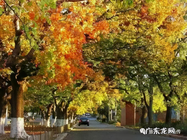 旅顺太阳沟乐椿轩 旅顺太阳沟风水宝地