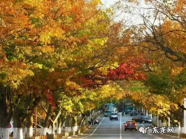 旅顺太阳沟乐椿轩 旅顺太阳沟风水宝地