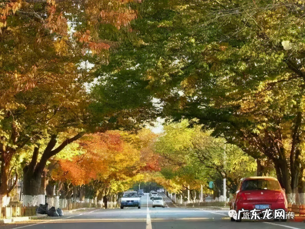 旅顺太阳沟乐椿轩 旅顺太阳沟风水宝地