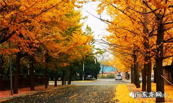 旅顺太阳沟乐椿轩 旅顺太阳沟风水宝地