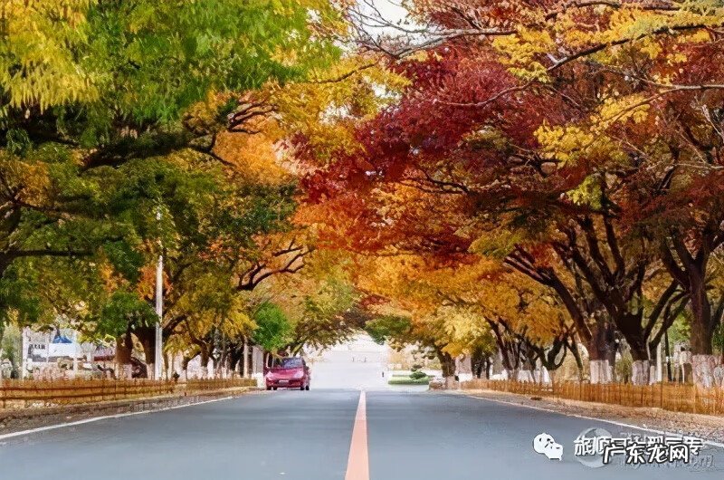旅顺太阳沟乐椿轩 旅顺太阳沟风水宝地