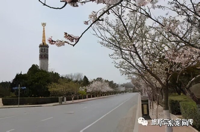 旅顺太阳沟乐椿轩 旅顺太阳沟风水宝地