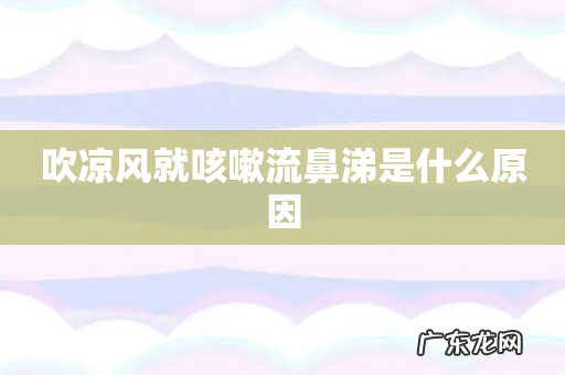 吹凉风就咳嗽流鼻涕是什么原因