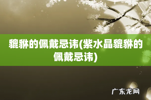 紫水晶貔貅的佩戴忌讳 貔貅的佩戴忌讳