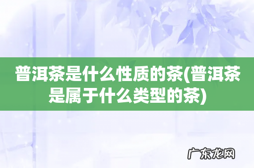 普洱茶是属于什么类型的茶 普洱茶是什么性质的茶