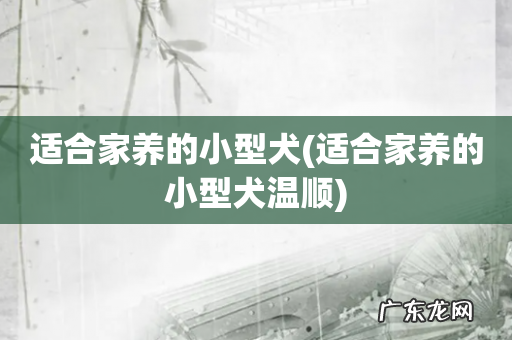 适合家养的小型犬温顺 适合家养的小型犬
