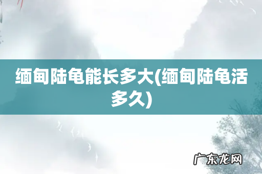 缅甸陆龟活多久 缅甸陆龟能长多大