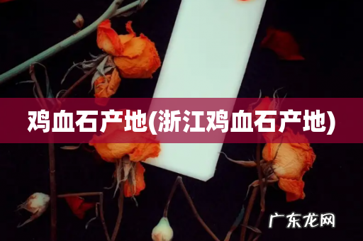 浙江鸡血石产地 鸡血石产地