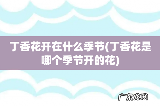 丁香花是哪个季节开的花 丁香花开在什么季节