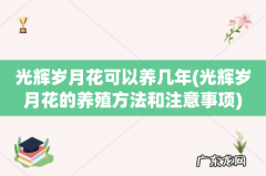 光辉岁月花的养殖方法和注意事项 光辉岁月花可以养几年