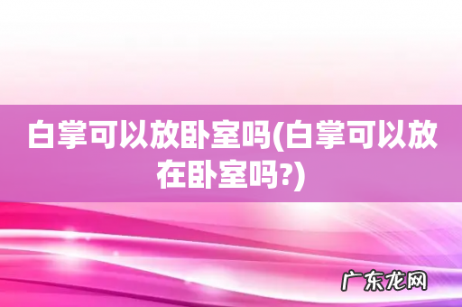 白掌可以放在卧室吗? 白掌可以放卧室吗