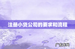 注册小贷公司的要求和流程