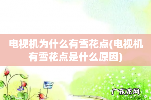 电视机有雪花点是什么原因 电视机为什么有雪花点