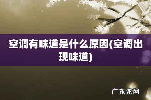 空调出现味道 空调有味道是什么原因