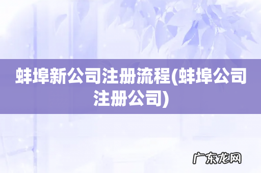 蚌埠公司注册公司 蚌埠新公司注册流程