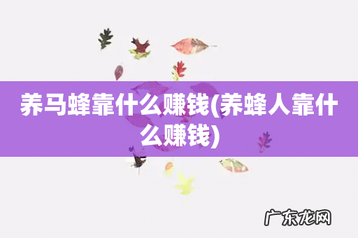 养蜂人靠什么赚钱 养马蜂靠什么赚钱